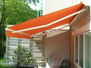 Regal Orange1
